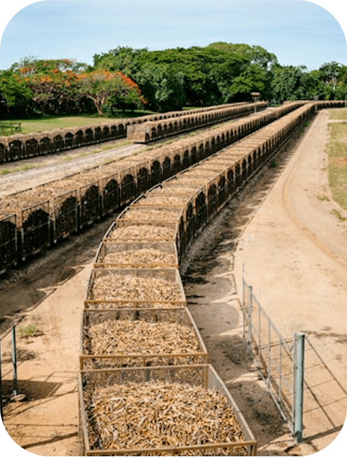 Agro-processing icon