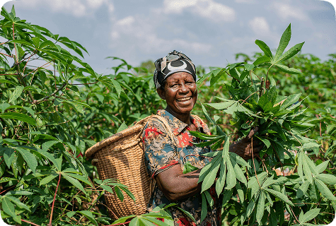 Farmers working together